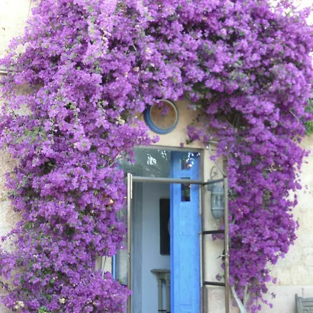 Apartment Station Salinas Ses Salines (Mallorca)